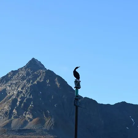 Captains House アパート Hamneide