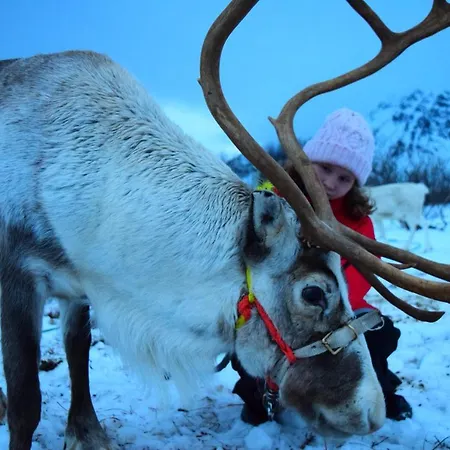 Captains House アパート Hamneide