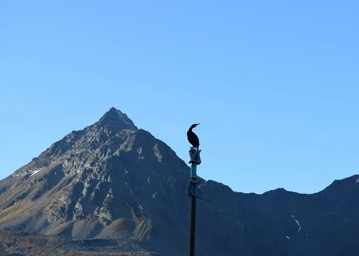 Captains House 公寓 Hamneide