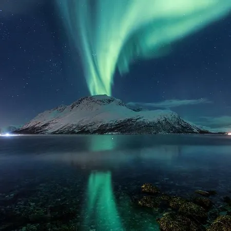 Apartment Captains House *