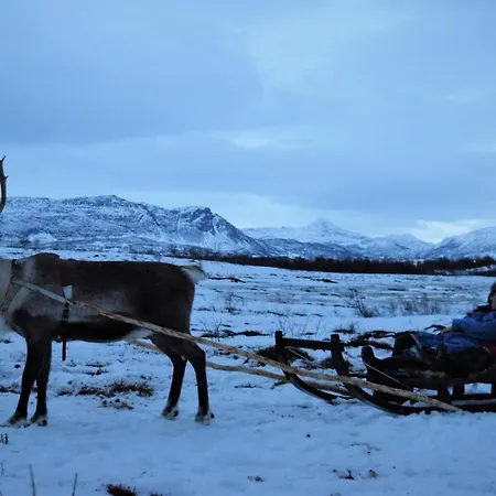 Apartment Captains House *